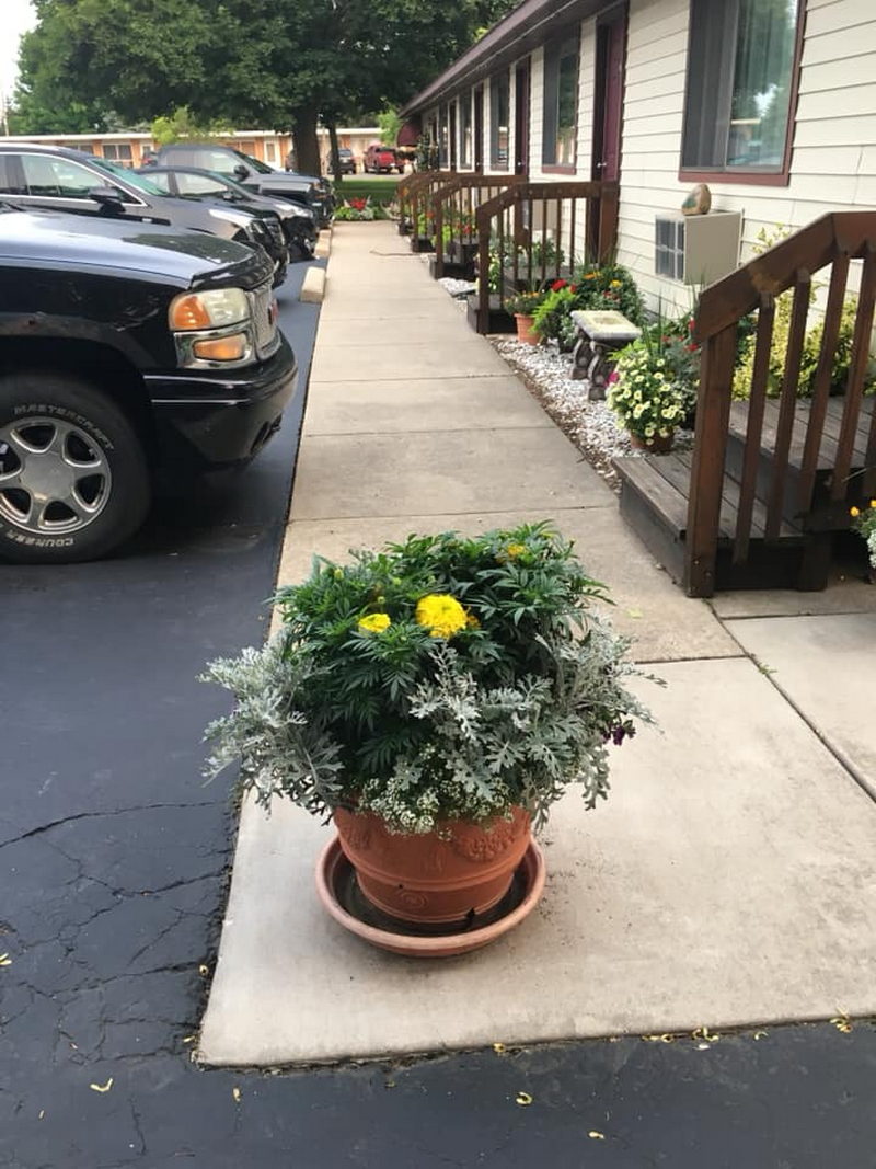 Maple Leaf Motel - Vintage Postcard (newer photo)